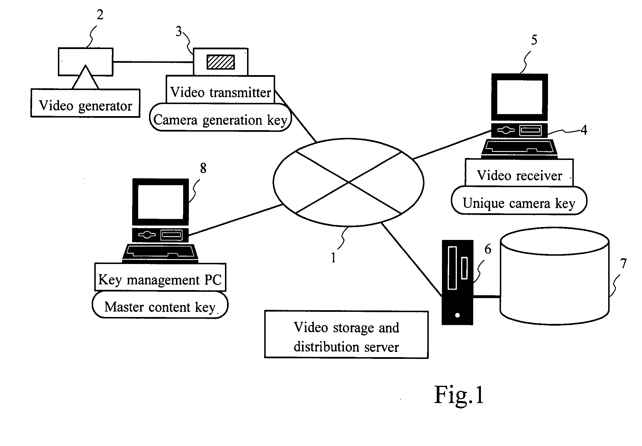 Video distribution system