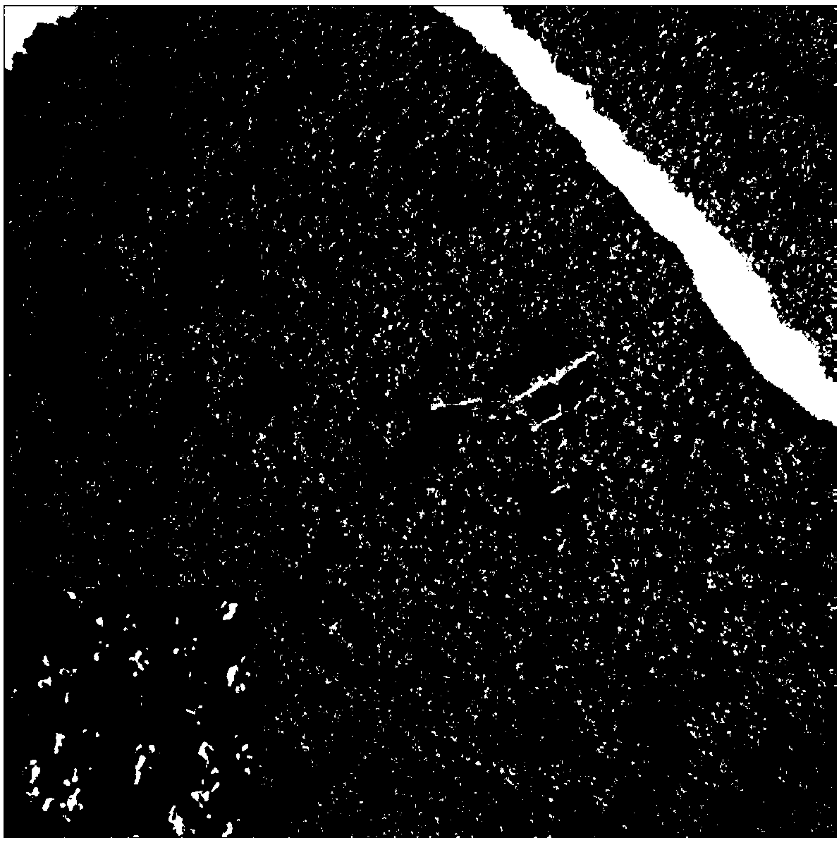 Fusion Method of UAV Image and Multispectral Image Based on Gradient Filter and PCA