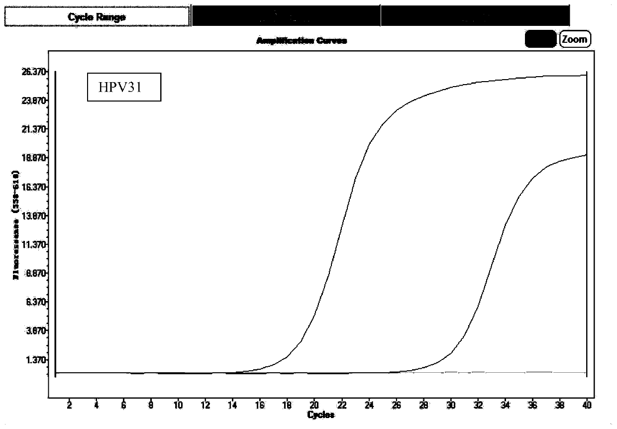 Multiplex fluorescence detection kit for 13-type high-risk HPV