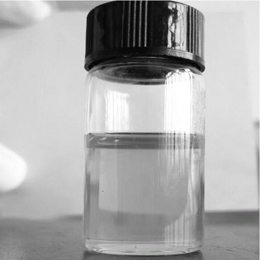 Preparation method and application of black phosphorus quantum dots with high yield