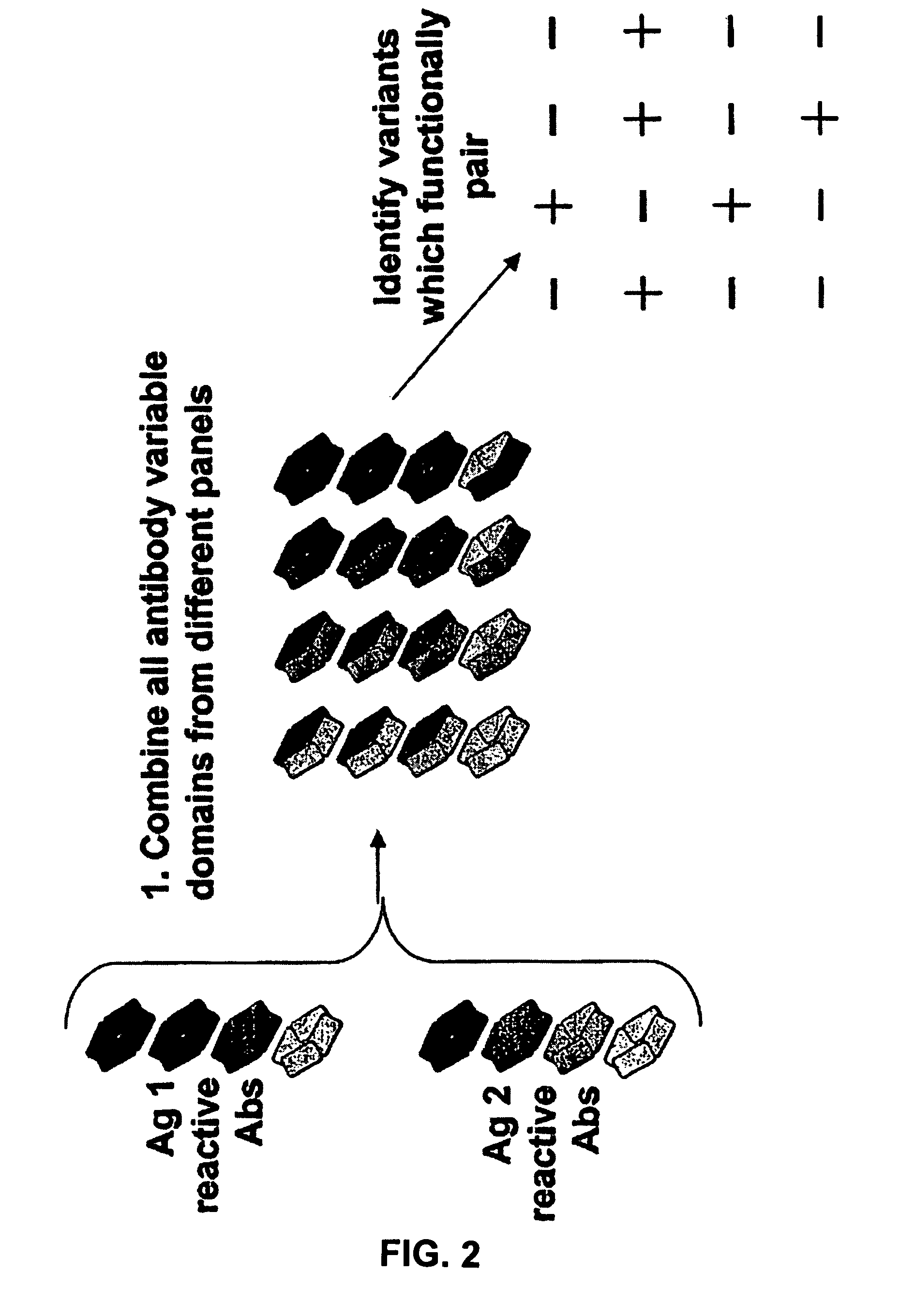 Method for selecting a single cell expressing a heterogeneous combination of antibodies