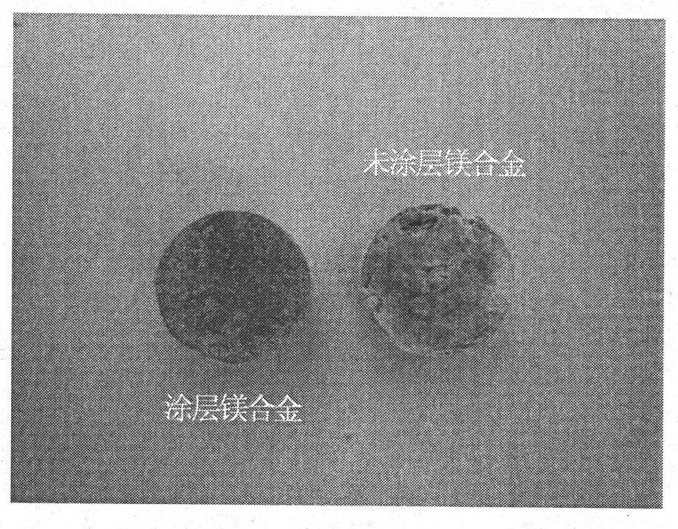 Silicate coating-containing absorbable medical magnesium-based metal and preparation method and application thereof