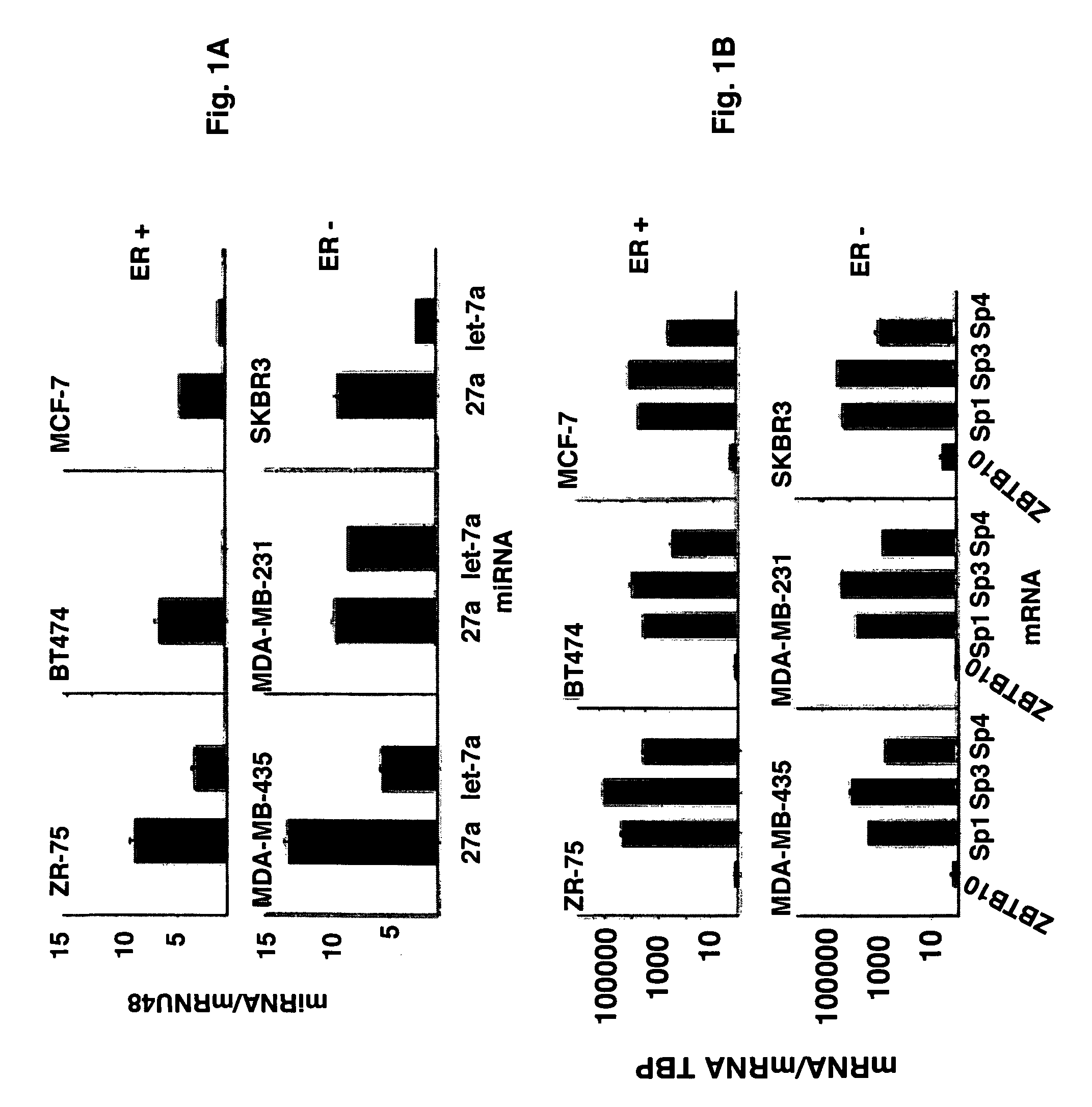 Antisense microRNA and uses therefor