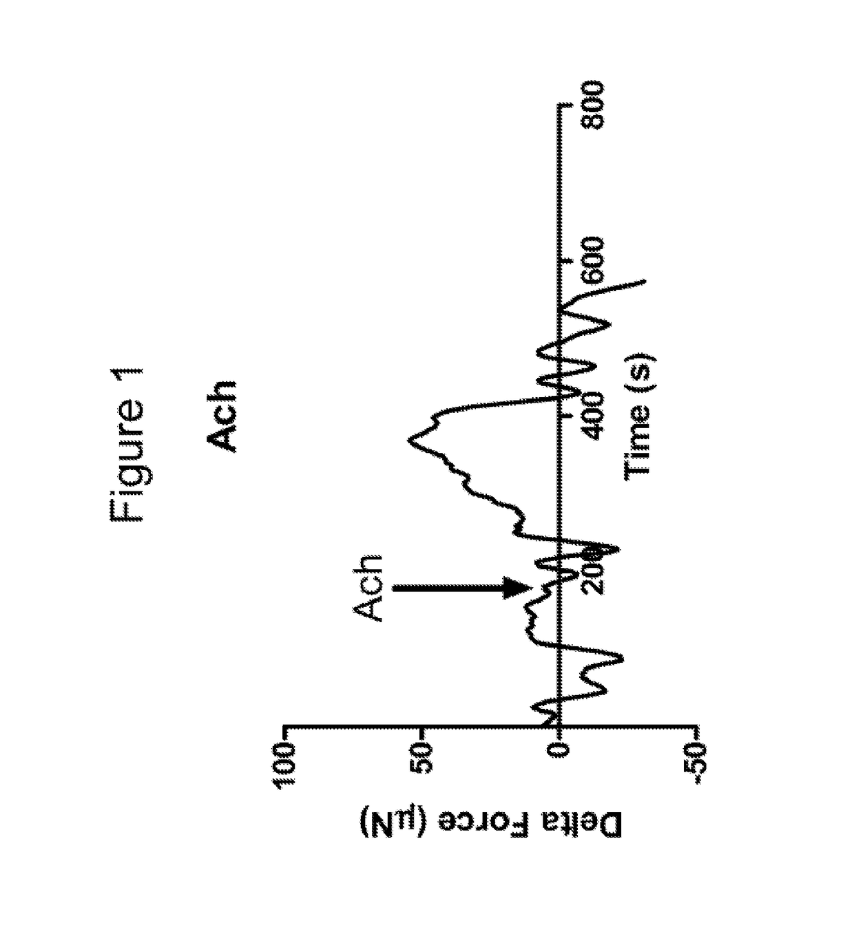 Tubular bioengineered smooth muscle structures