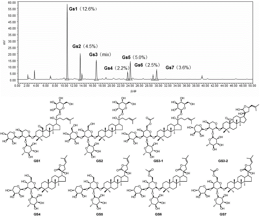 Use of dammarane-type triterpene derivatives