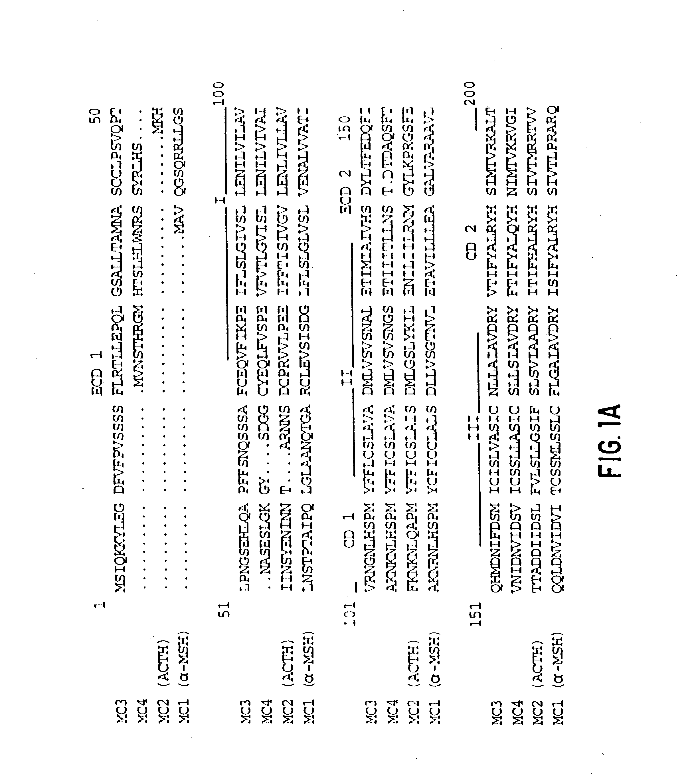 Screening methods for compounds useful in the regulation of body weight