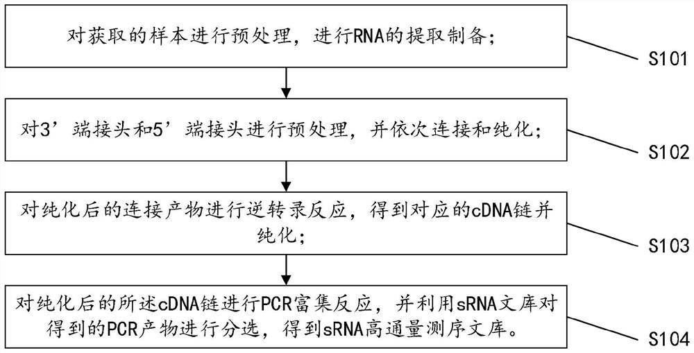 Library building method for sRNA sequencing