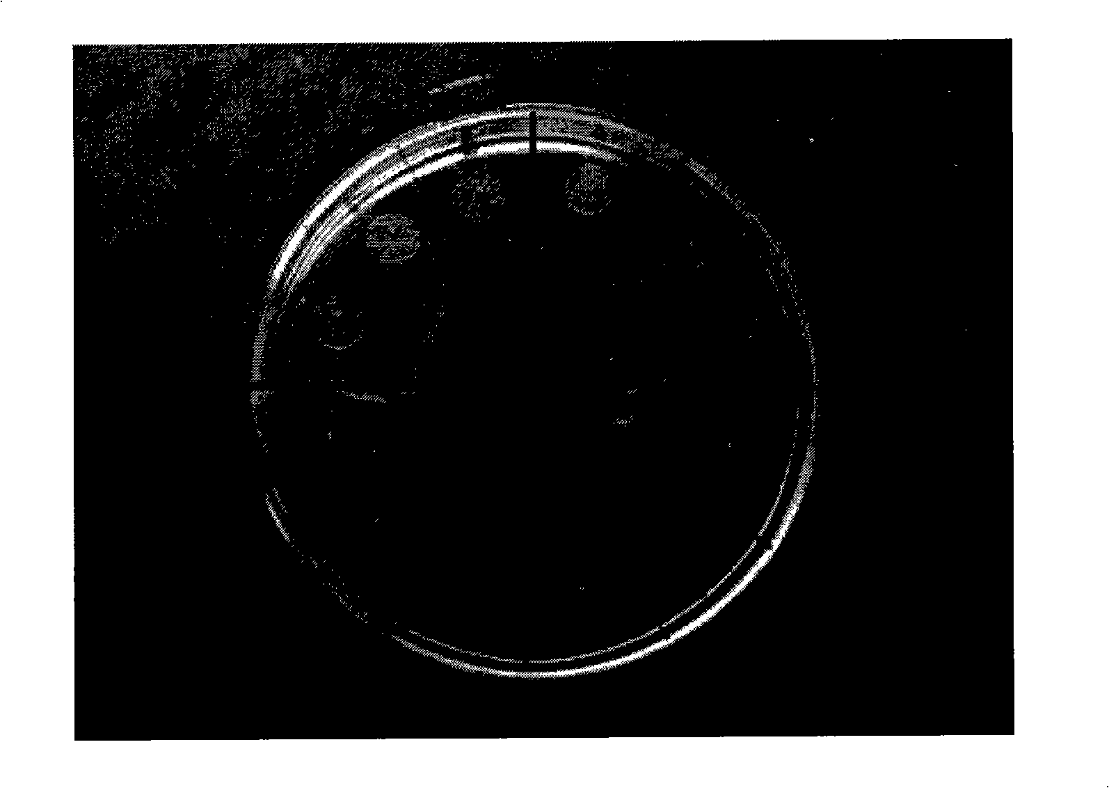 Method of inhibiting the proliferation and migration of helicobacter pylori