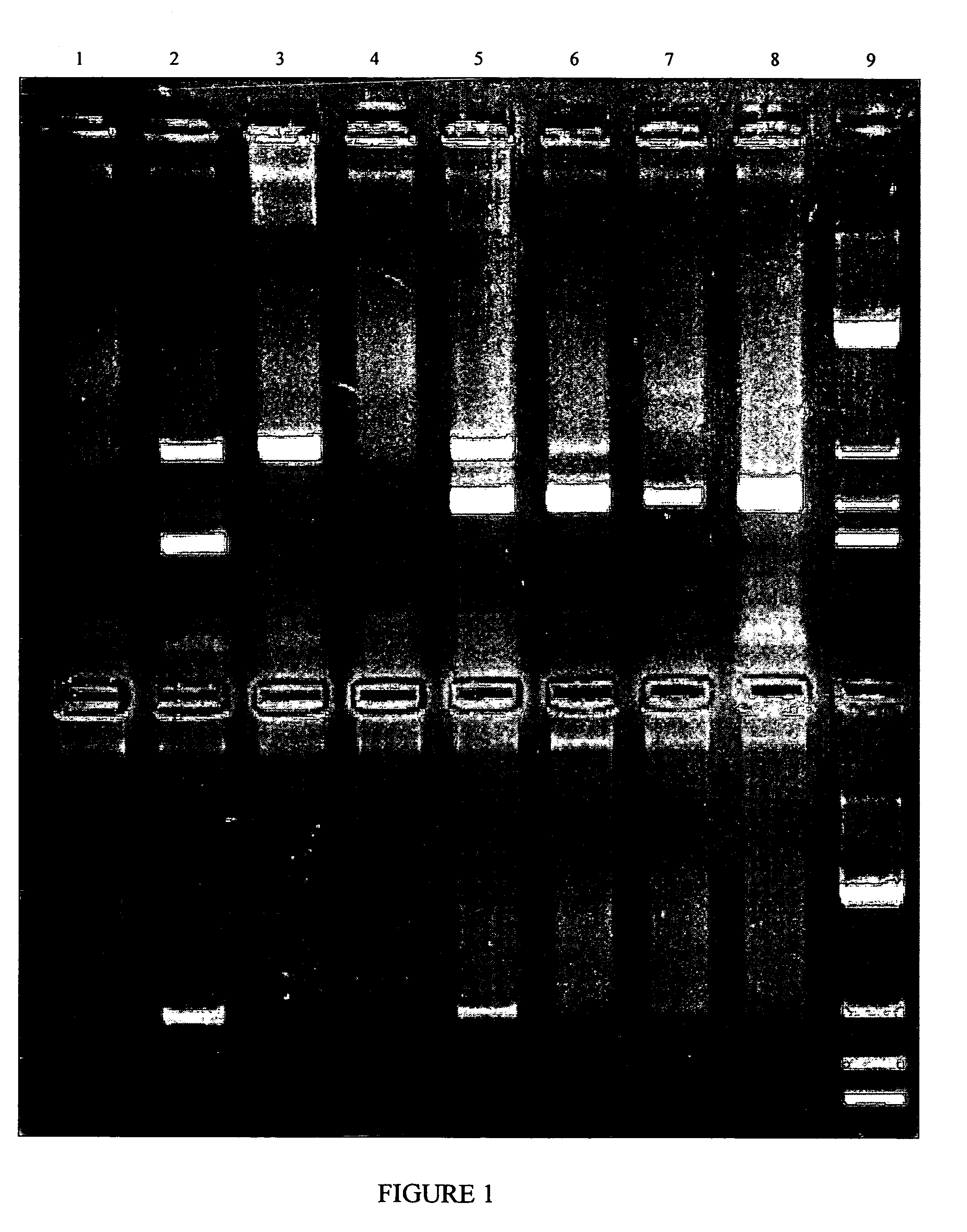 Trend analysis and statistical process control using multitargeted screening assays