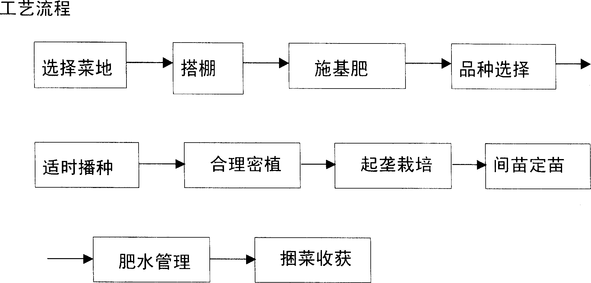 Technique for cultivating celery cabbage of Huaiyang series