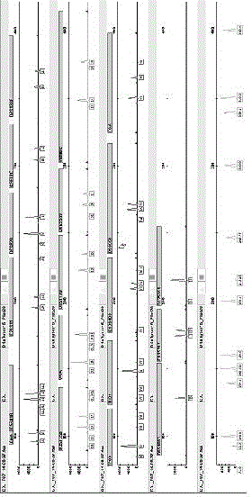 Kit and method for extracting and purifying DNA (deoxyribonucleic acid) in untouchable specimen