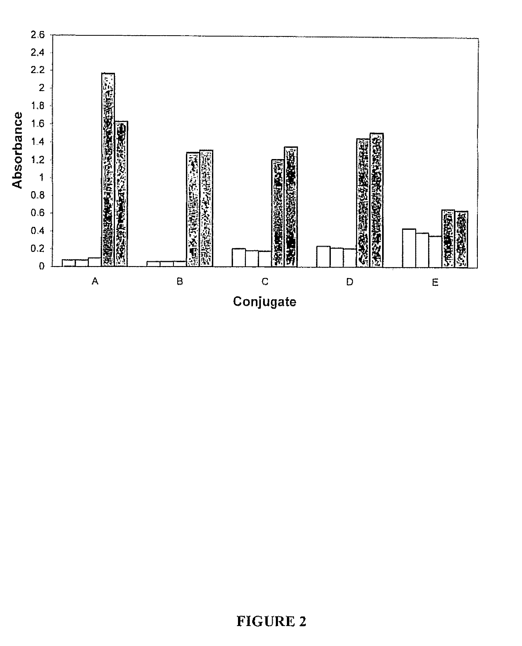 Antigenic protein conjugates and process for preparing same