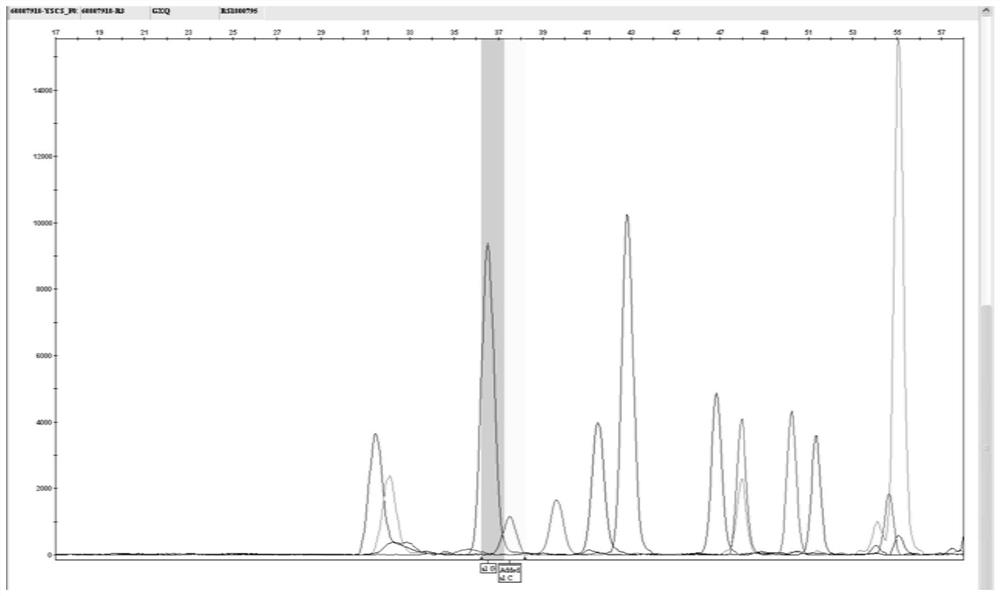 A kit and application for detecting SNP sites of genes related to calcium demand