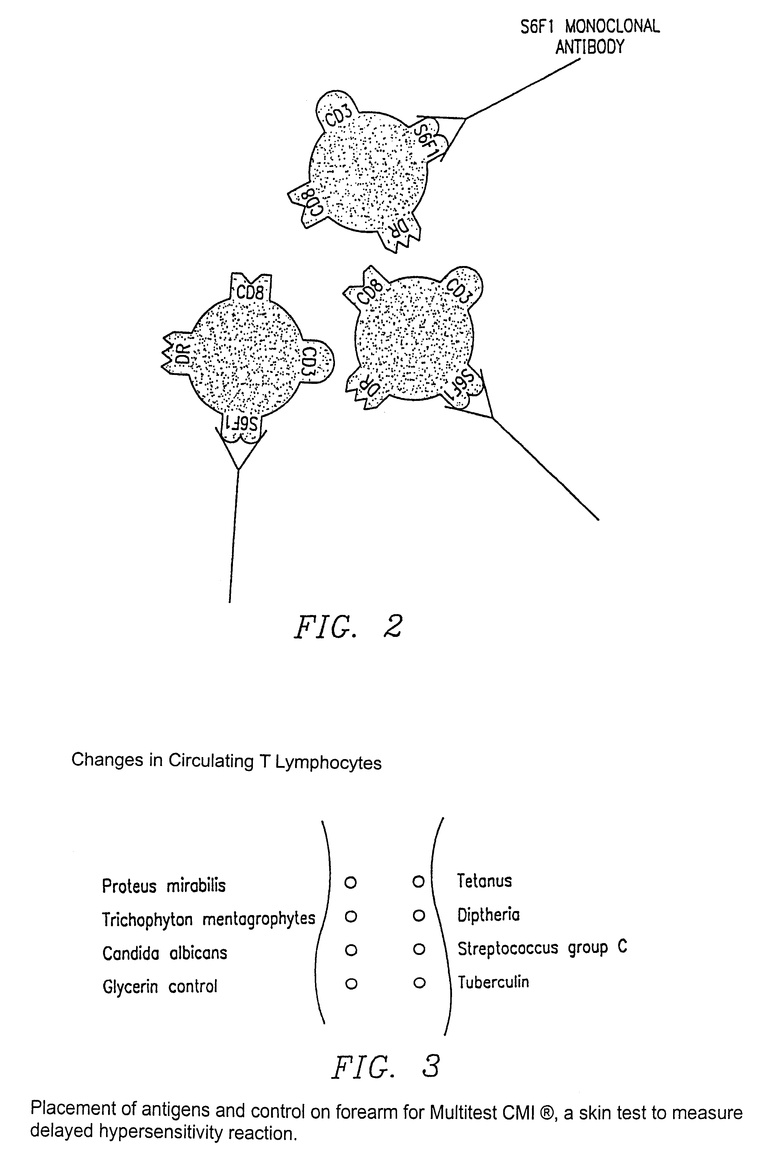 Method increasing the delayed-type hypersensitivity response by infusing LFA-1-specific antibodies