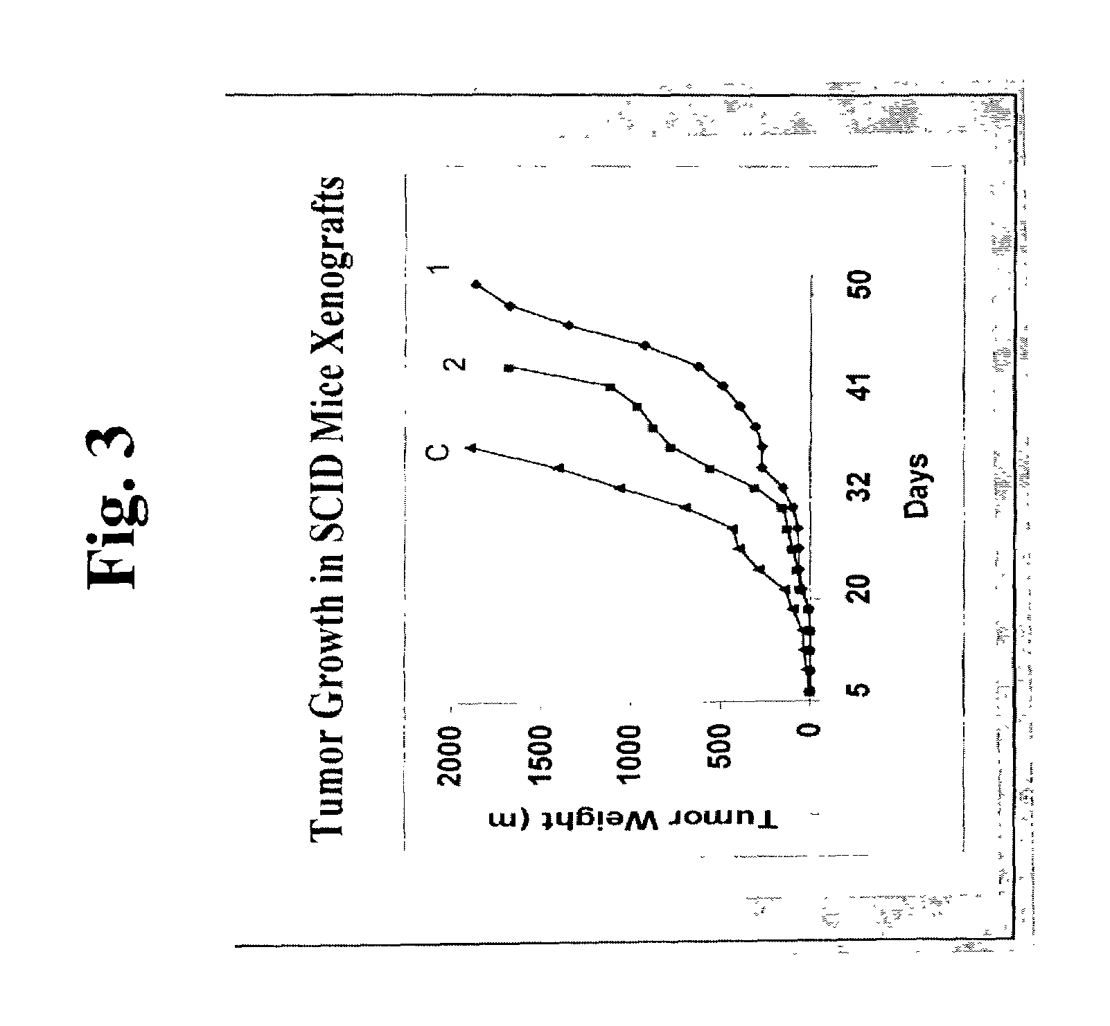 Antibodies to a novel EGF-receptor related protein (ERRP)