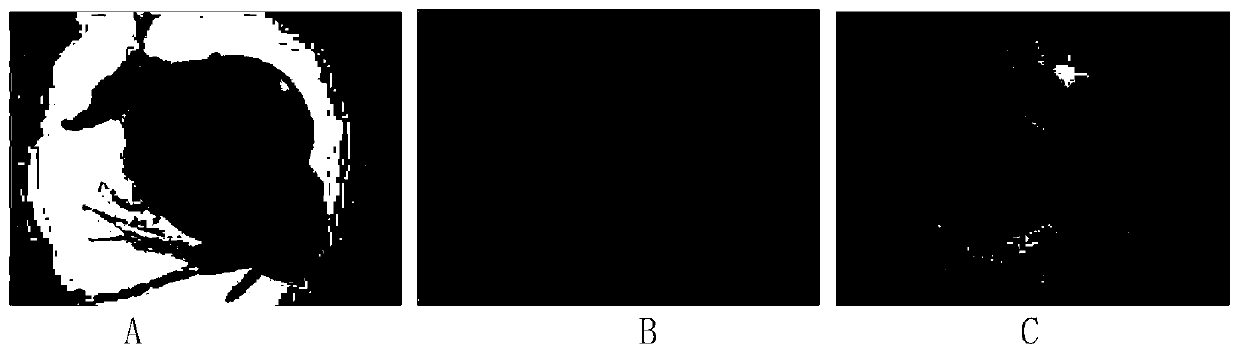 A special high-selenium feed for Daphnia and its application method