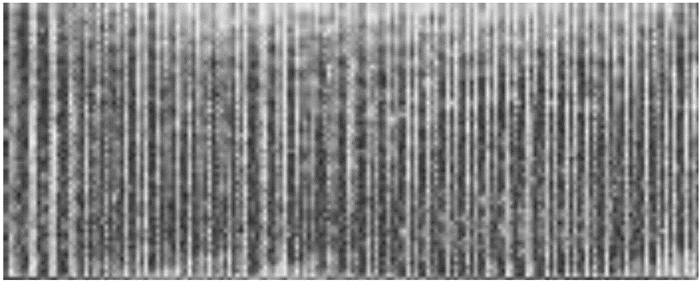 Self-induction repairing resin matrix composite structure and preparing repairing method