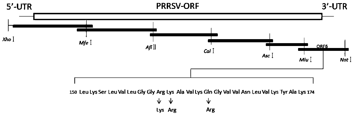 A highly pathogenic porcine reproductive and respiratory syndrome marker vaccine and its serological identification method