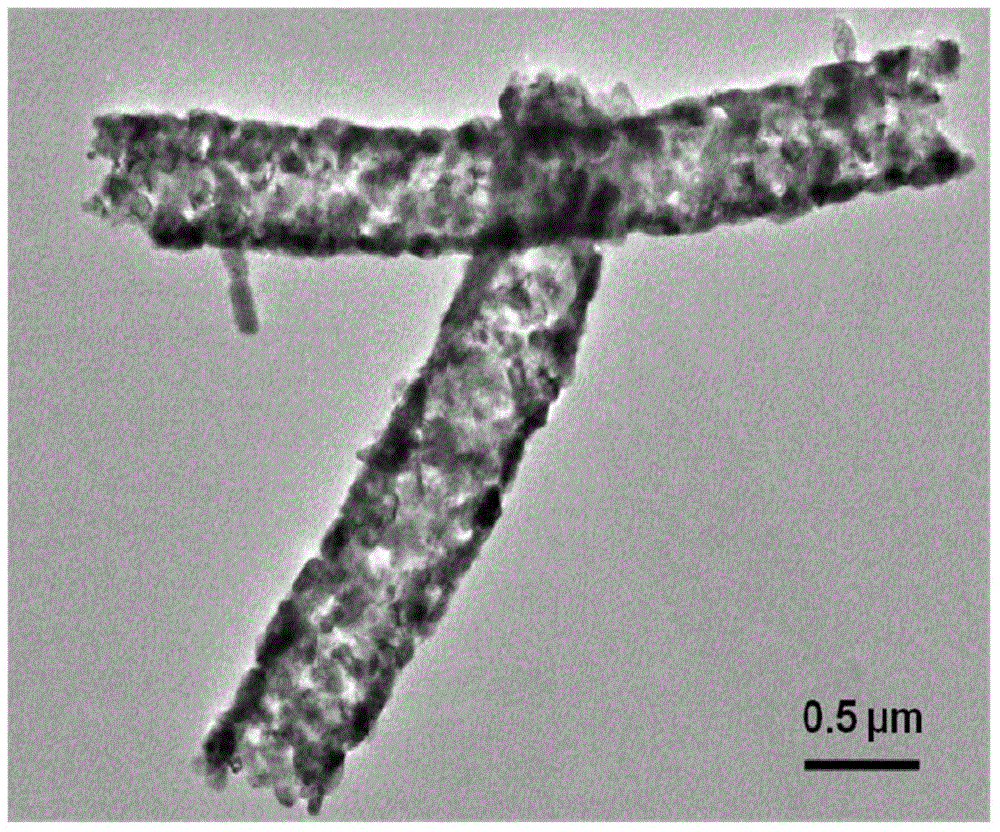 Hollow nano fiber photocatalyst for tantalum compound and preparation method of hollow nano fiber photocatalyst