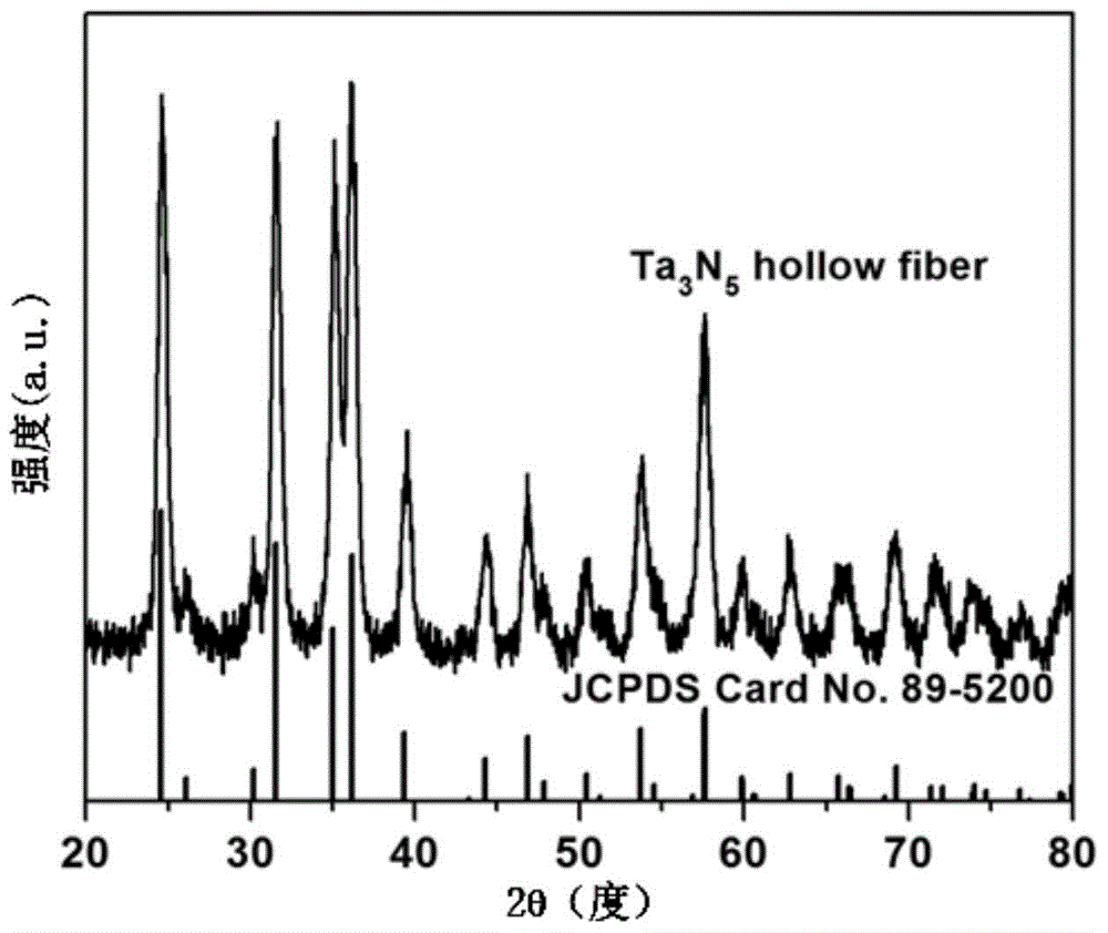 Hollow nano fiber photocatalyst for tantalum compound and preparation method of hollow nano fiber photocatalyst