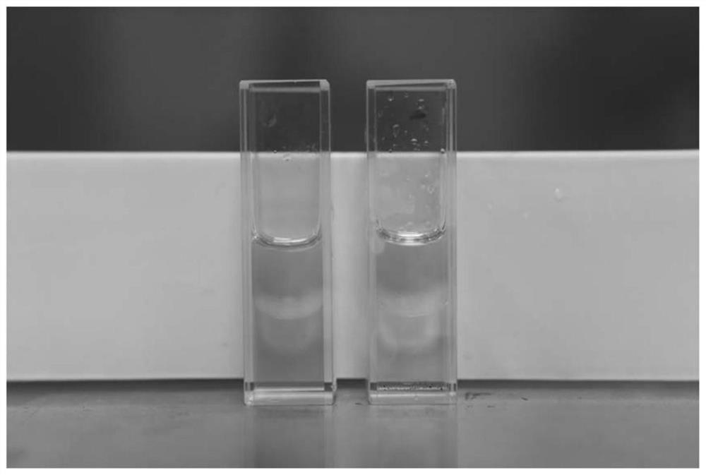 Fluorescent detection method of ion concentration in transformer oil