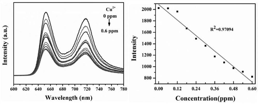 Fluorescent detection method of ion concentration in transformer oil