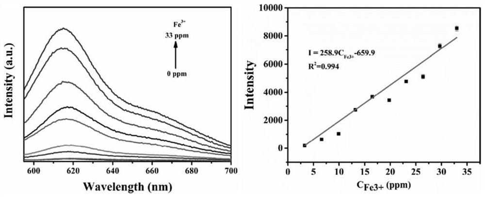 Fluorescent detection method of ion concentration in transformer oil