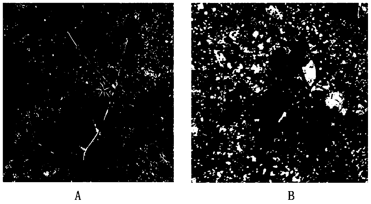 A method of inducing milk vetch tetraploid