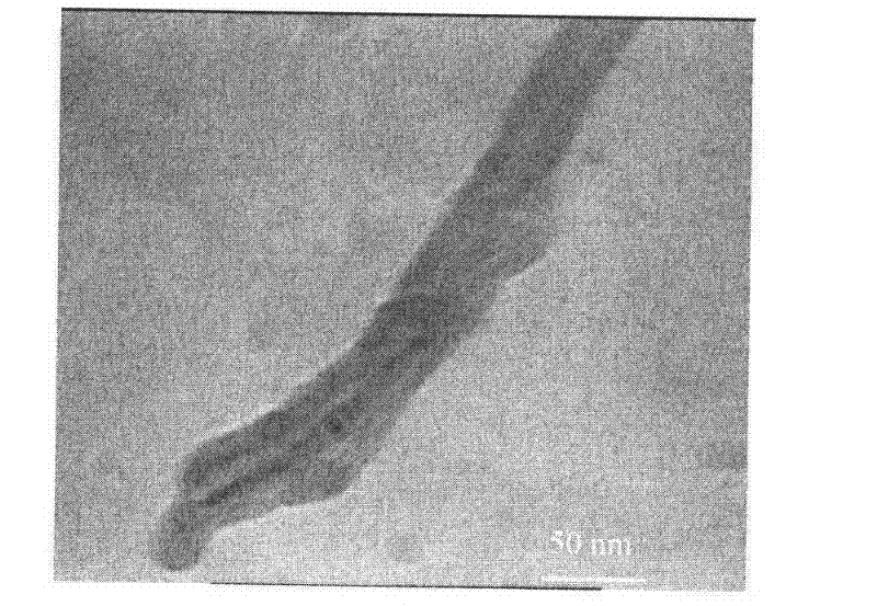 Method for preparing hybrid composite material of carbon fibers/carbon nanotubes/bismaleimide resin