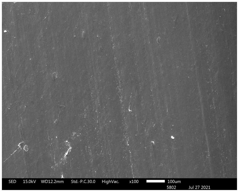 Preparation method of biodegradable cast film