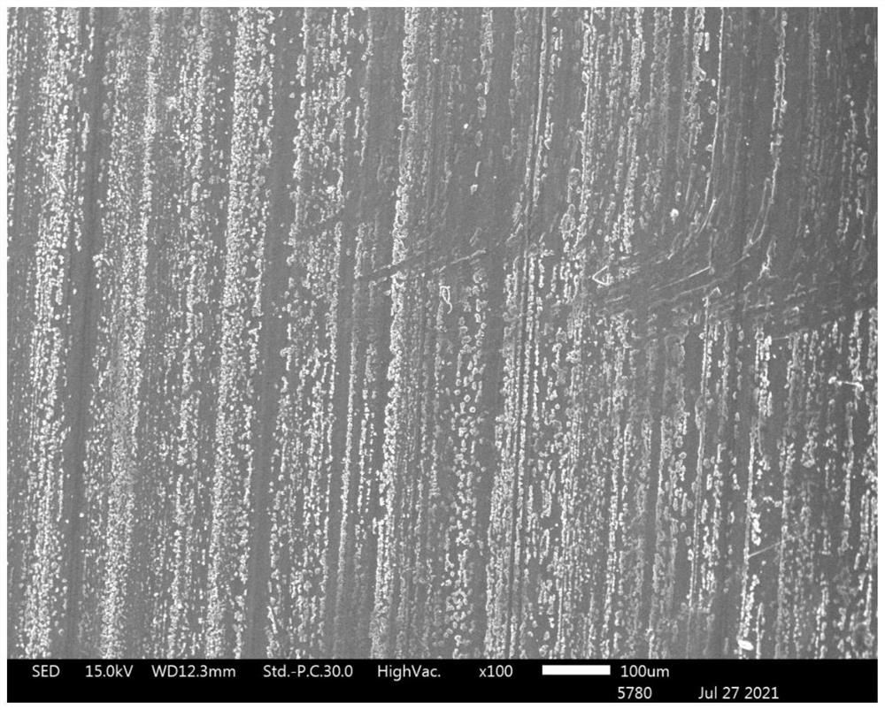 Preparation method of biodegradable cast film