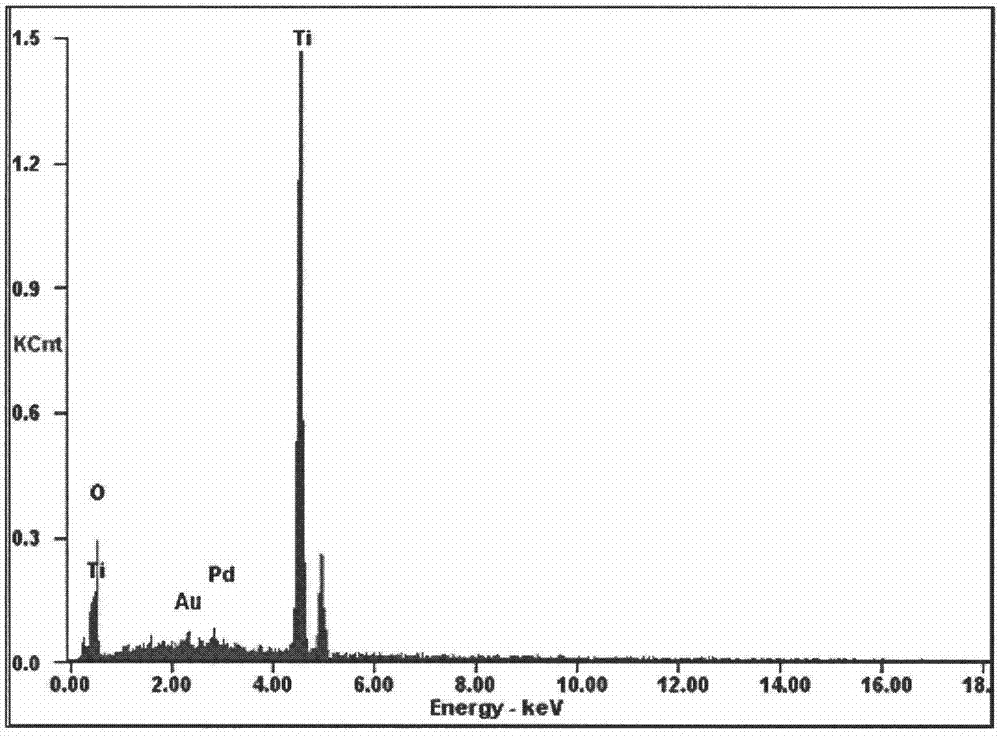 Preparation method of Au-Pd/TiO2 NBs photocatalyst