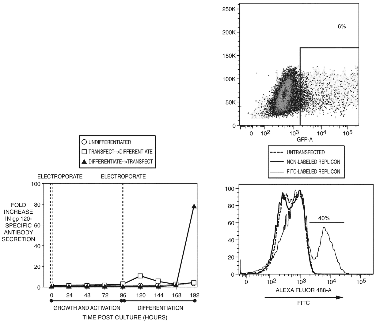 Direct expression of antibodies