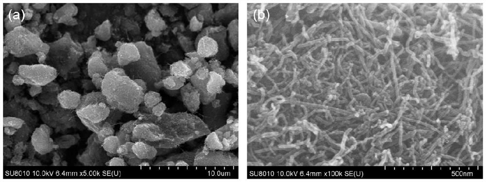 Cotton carbon cloth/nitrogen-doped nanocarbon/carbon nanotube flexible integrated electrode and preparation method and application thereof