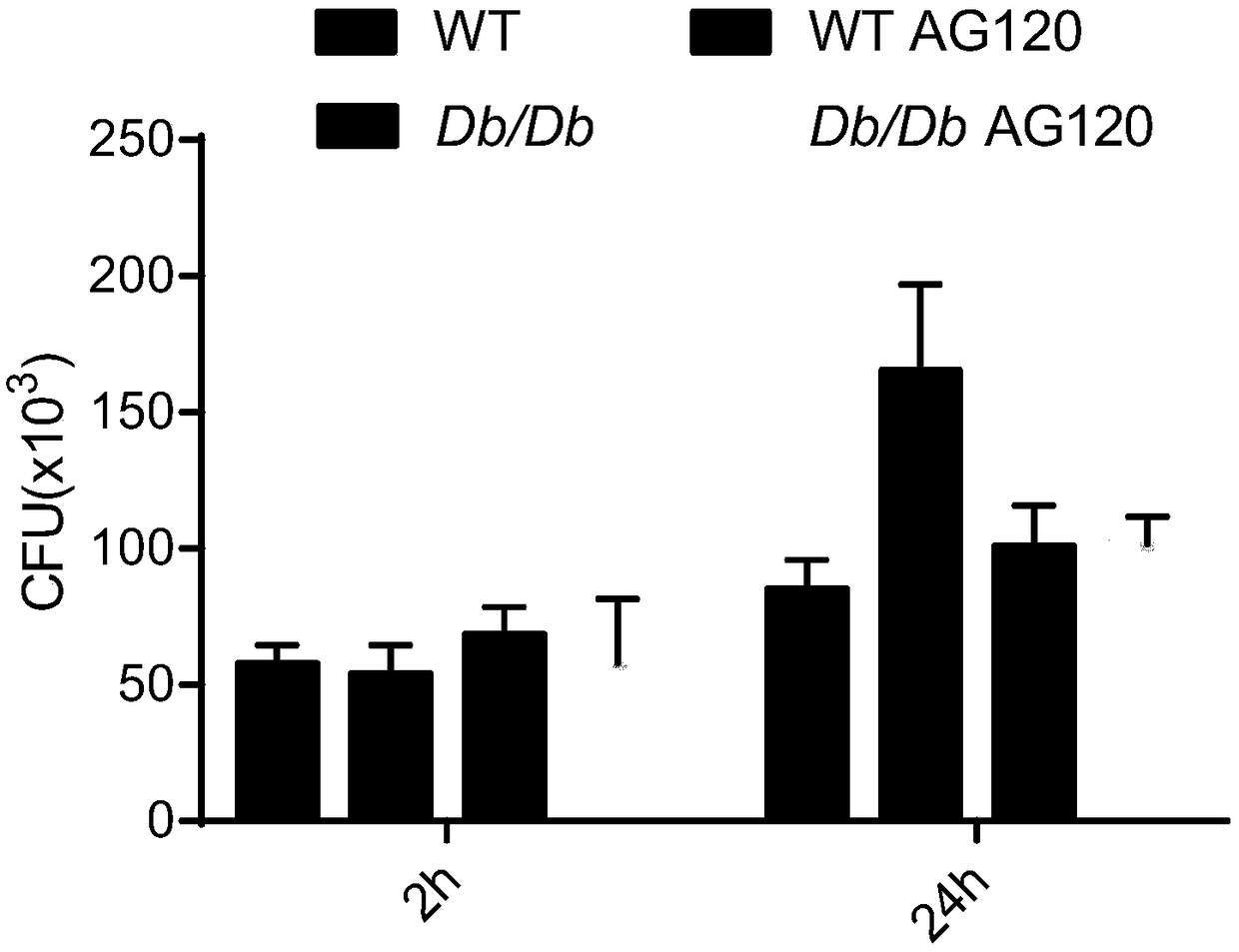 Use of compound AG120 or pharmaceutically acceptable salt thereof in preparation of drug for prevention or treatment of tuberculosis