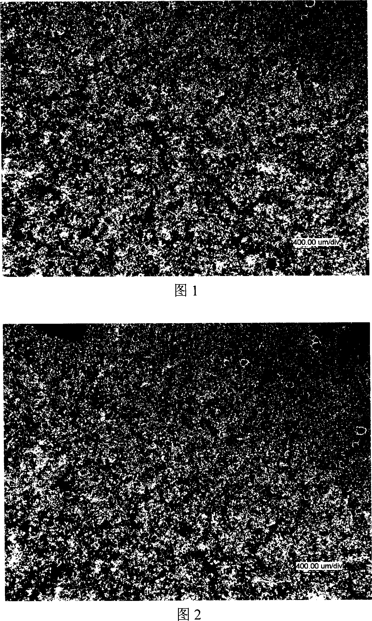 Method for observing magnetic domain structure of heat-resisting Nd-Fe-B magnet