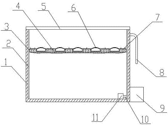 Logistic transportation aquatic product transportation box