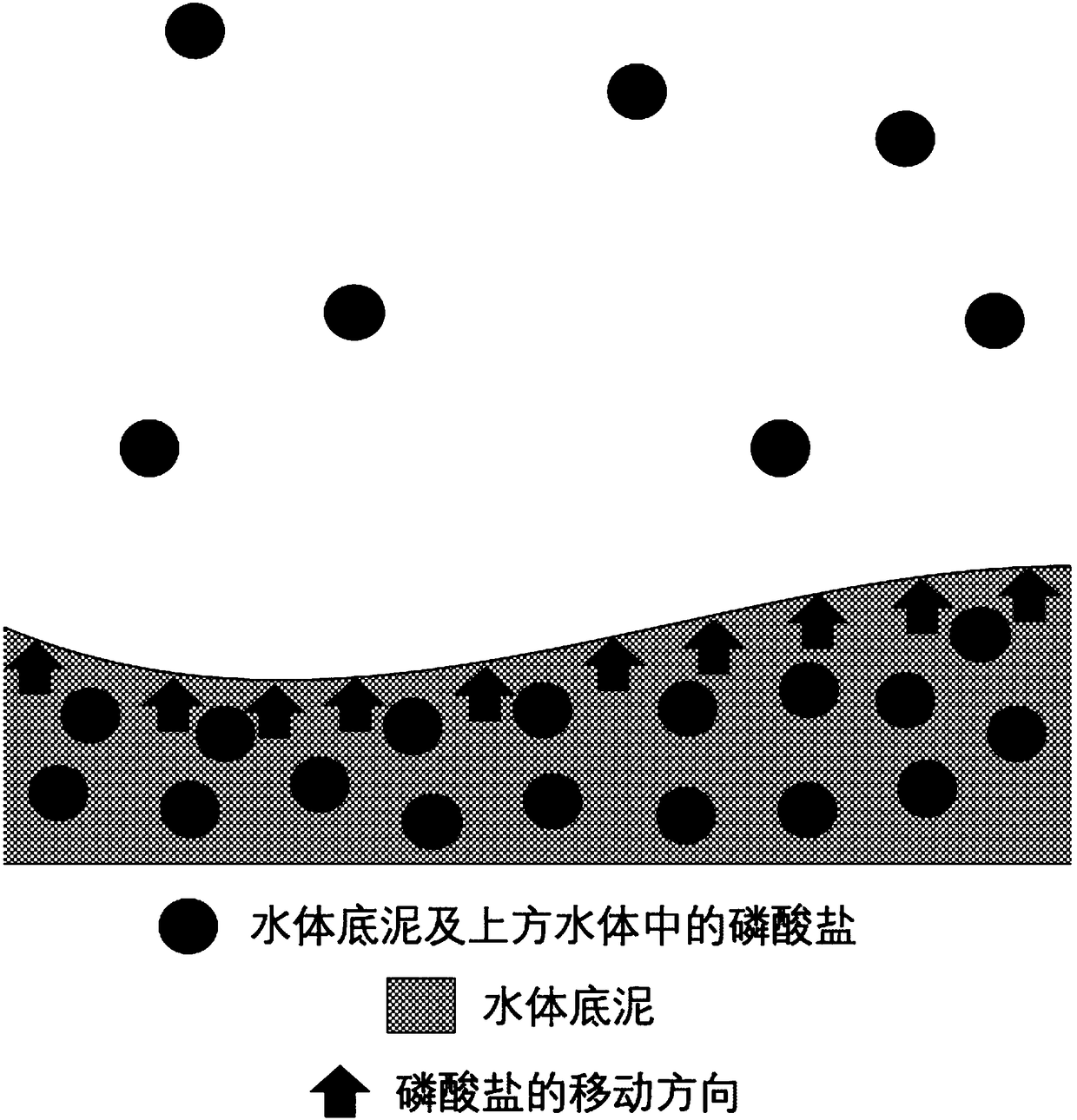 Lanthanum-supported coating material and phosphorus-fixing material to control lake eutrophication, their preparation methods, phosphorus-fixing method and phosphorus-fixing grid plate