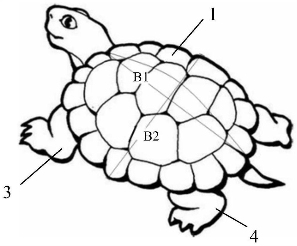 Sorting method for the body size of box turtle juveniles