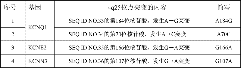 KCNQ1 (potassium voltage-gated channel, KQT-like subfamily, member 1), KCNE2 (potassium voltage-gated channel, Isk-like family, member 2) and KCNN3 (calcium-activated potassium (SK) channels) gene SNP (Single Nucleotide Polymorphism) detection specific primer and liquid-phase chip