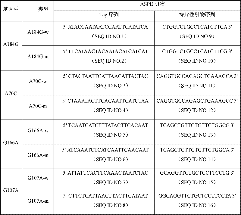 KCNQ1 (potassium voltage-gated channel, KQT-like subfamily, member 1), KCNE2 (potassium voltage-gated channel, Isk-like family, member 2) and KCNN3 (calcium-activated potassium (SK) channels) gene SNP (Single Nucleotide Polymorphism) detection specific primer and liquid-phase chip