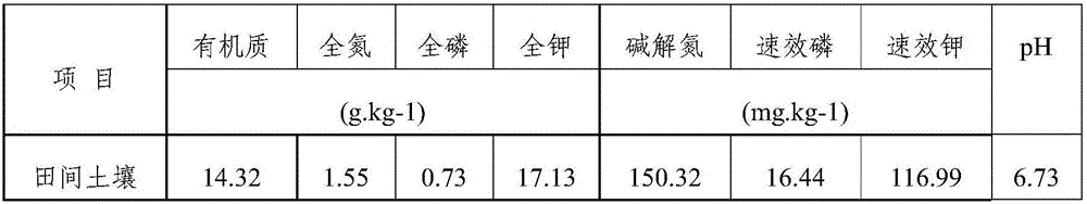 Compound bacterial fertilizer as well as preparation method and application thereof