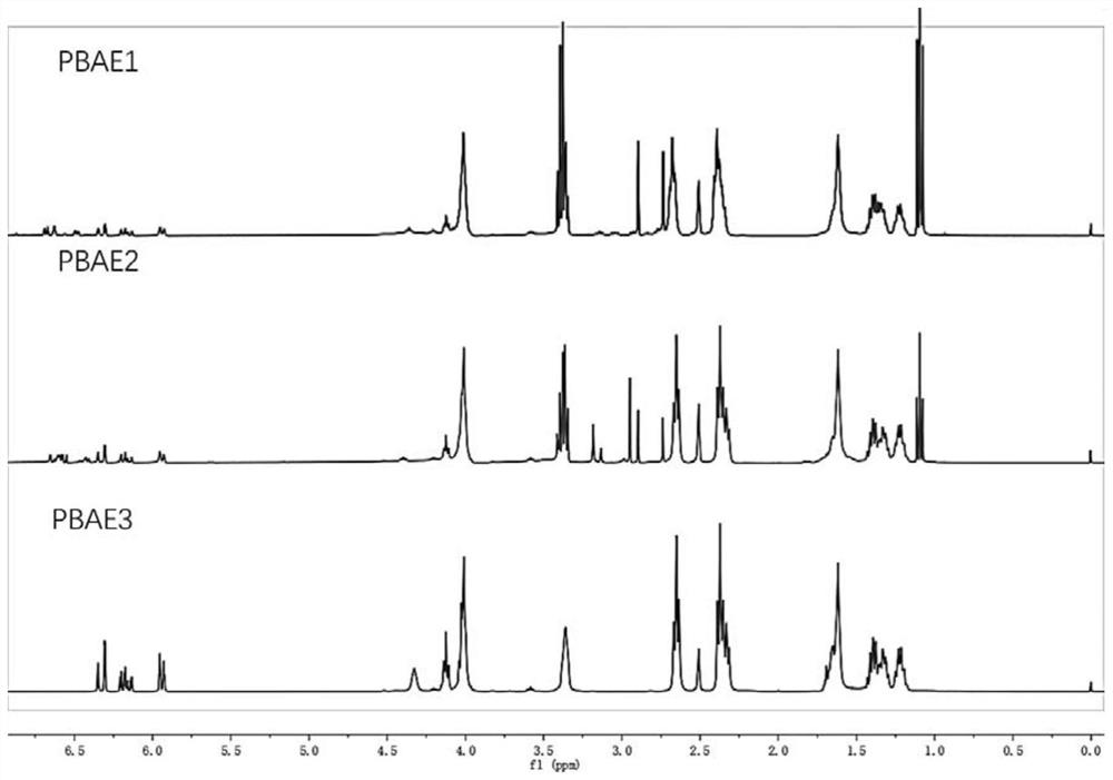 Dopamine functionalized poly(beta-amino ester) as well as preparation method and application thereof