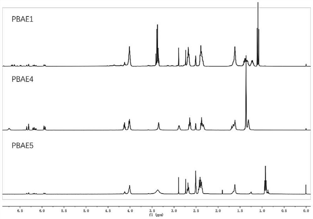 Dopamine functionalized poly(beta-amino ester) as well as preparation method and application thereof