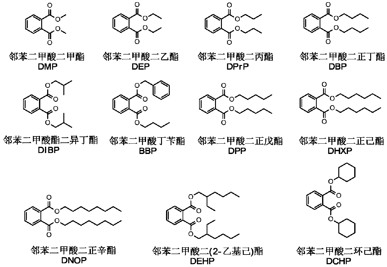 DEHP (di-2-ethylhexyl phthalate) hydrolase, gene and application of hydrolase