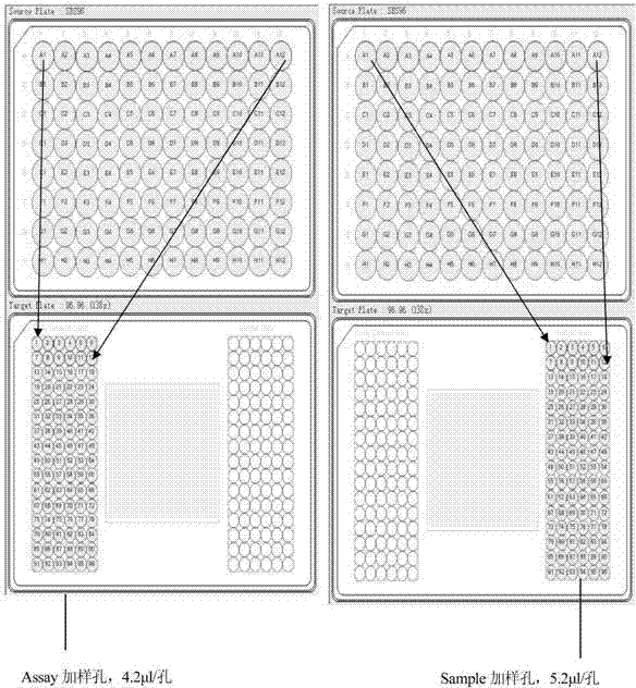 Coronary heart disease associated sixth chromosome susceptible region tagging single nucleotide polymorphism sites, haplotypes thereof, and applications of sites and haplotypes