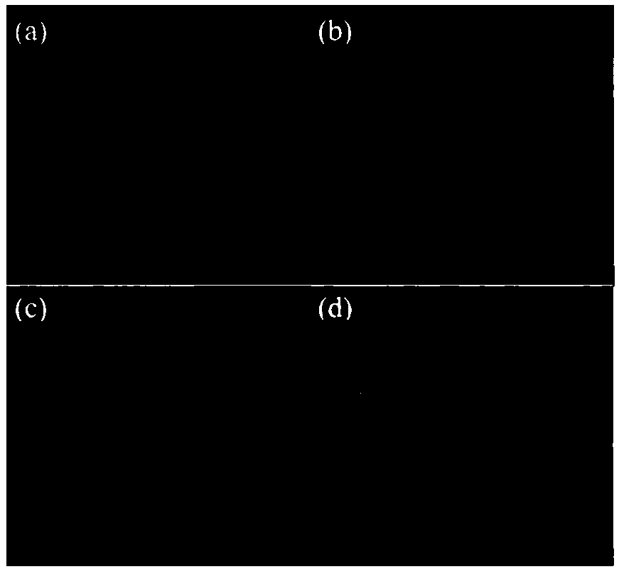 Preparation method and application of a carbon nitride/bismuth selenate composite material