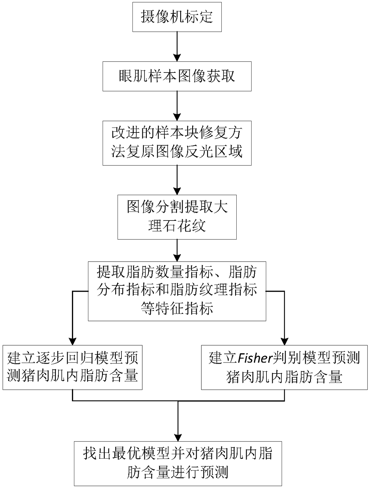 A non-destructive detection method of pork intramuscular fat content based on computer vision