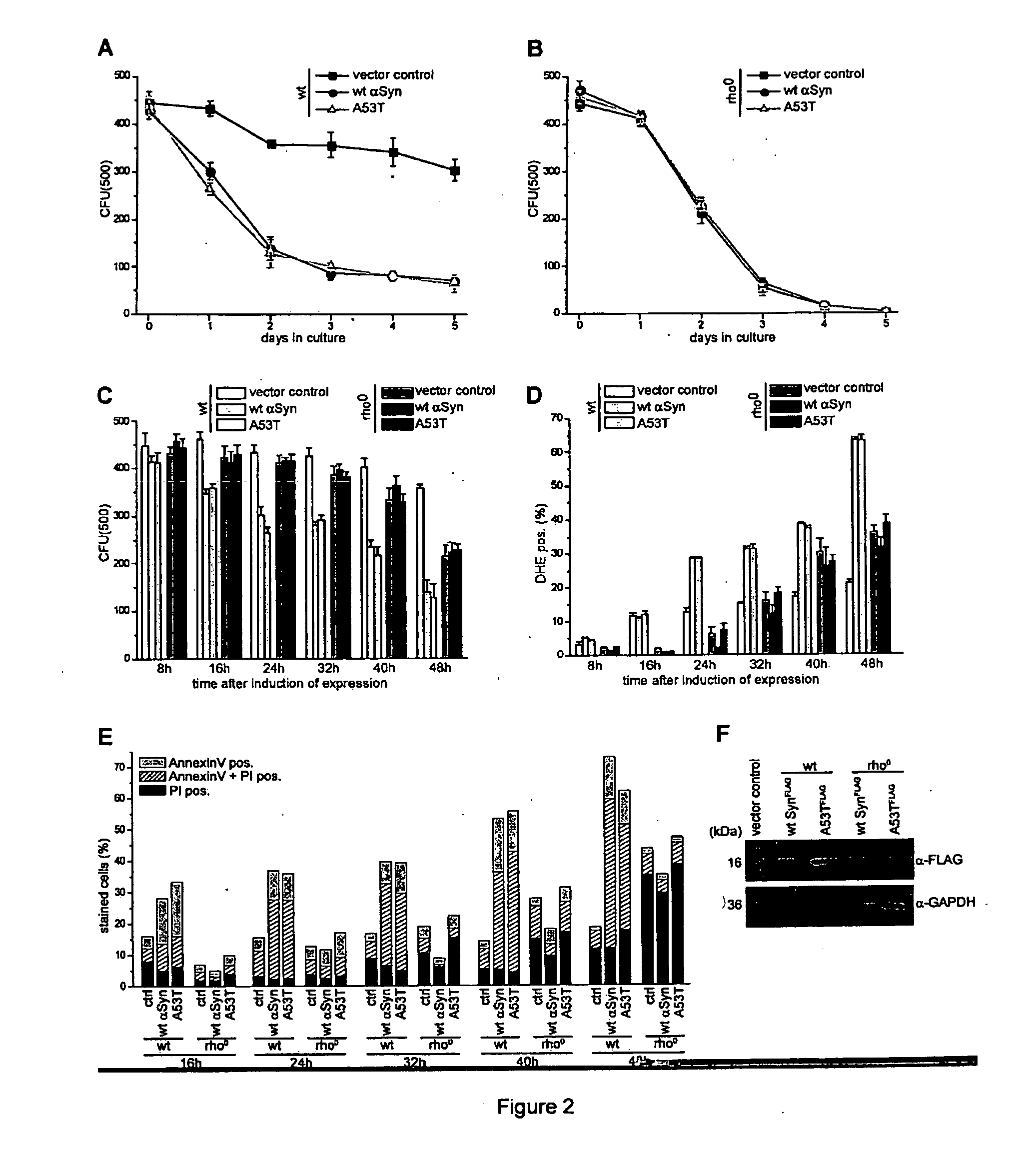 Alpha synuclein toxicity