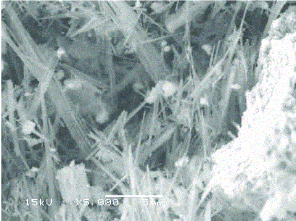 Method for reselecting vanadium-titanium magnetite concentrate by using oxidization alkaline leaching, classification and reverse flotation